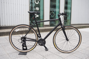 FUJI RAIZ MATTE BLACK 21