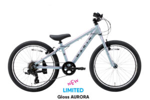 DONKY Jr 22 LTD GROSS AURORA DONKY Jr 22 LTD GROSS AURORA