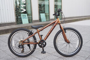 DONKY Jr 22 LTD GROSS JUPITER