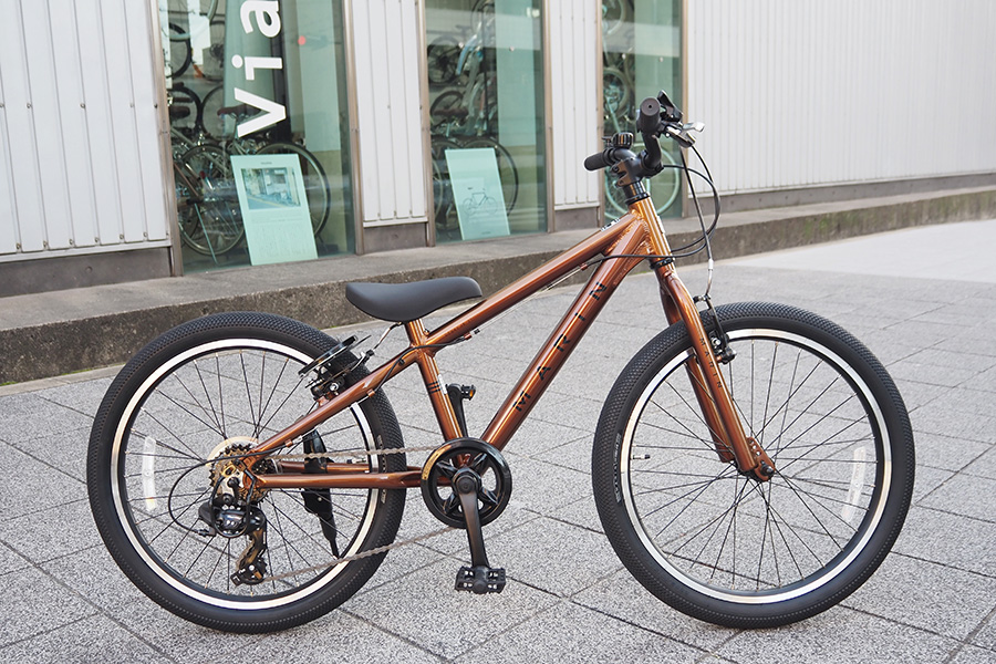 DONKY Jr 22 LTD GROSS JUPITER DONKY Jr 22 LTD GROSS JUPITER