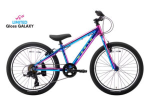 DONKY Jr 22 LTD GROSS GALAXY