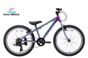 DONKY Jr 22 LTD GROSS NEBURA