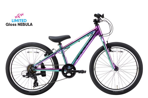 DONKY Jr 22 LTD GROSS NEBURA DONKY Jr 22 LTD GROSS NEBURA