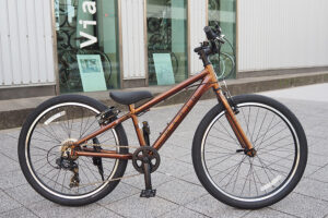 DONKY Jr 24 LTD GROSS JUPITER