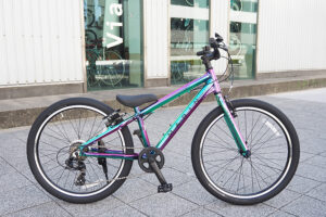 DONKY Jr 24 LTD GROSS NEBURA DONKY Jr 24 LTD GROSS NEBURA