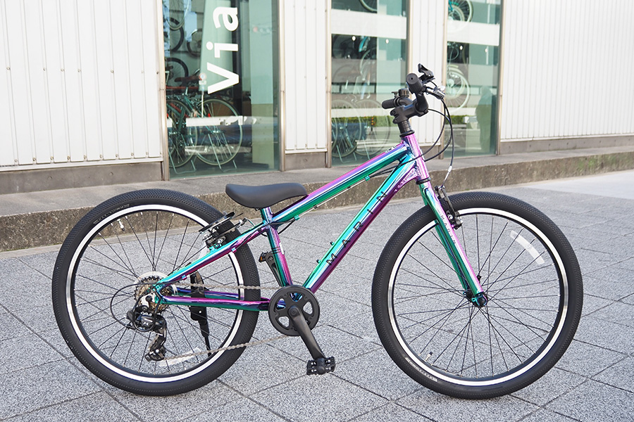 DONKY Jr 24 LTD GROSS NEBURA DONKY Jr 24 LTD GROSS NEBURA