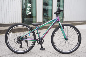 DONKY Jr 26 LTD GROSS NEBULA DONKY Jr 26 LTD GROSS NEBULA