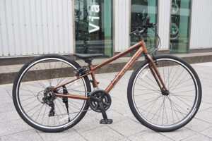 DONKY Jr 700 14S LTD GLOSS JUPITER XXS DONKY Jr 700 14S LTD GLOSS JUPITER XXS